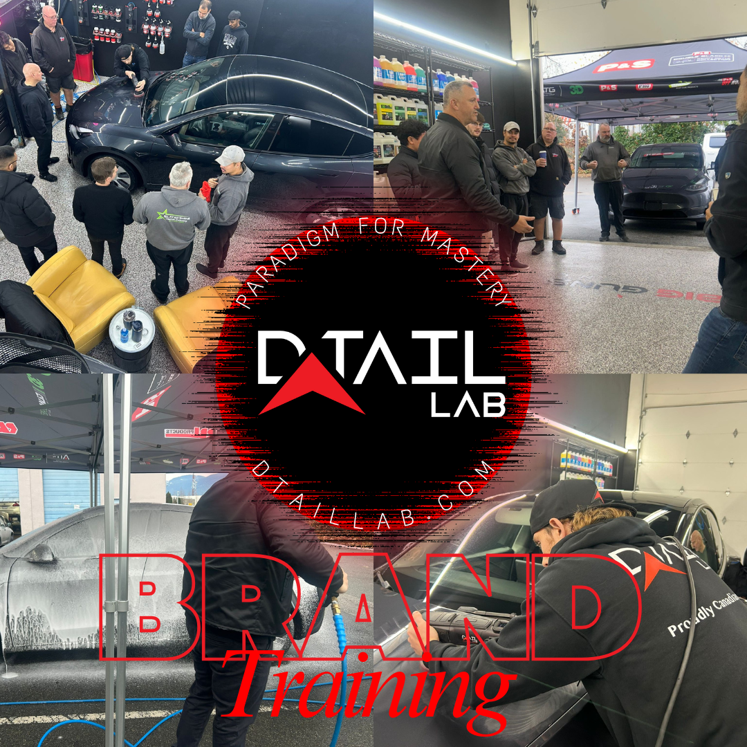 Crystal Brite & D-TAIL LAB: Brand Training Day Recap & Distributor Opportunities